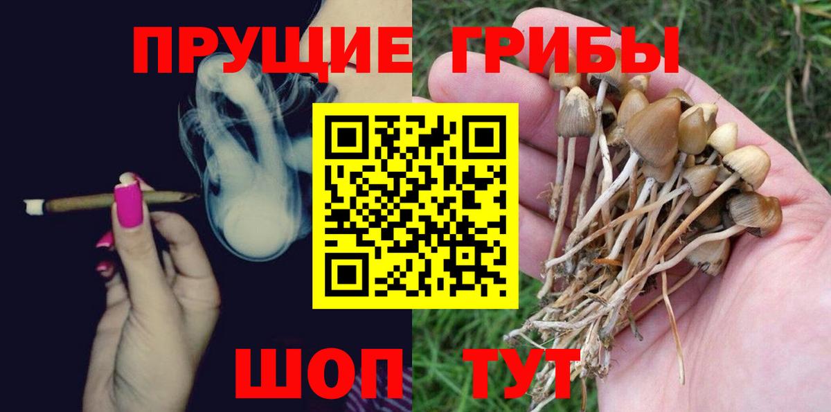 Галлюциногенные грибы мицелий Буйнакск